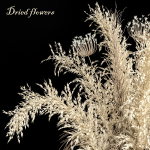 Dried flowers 01