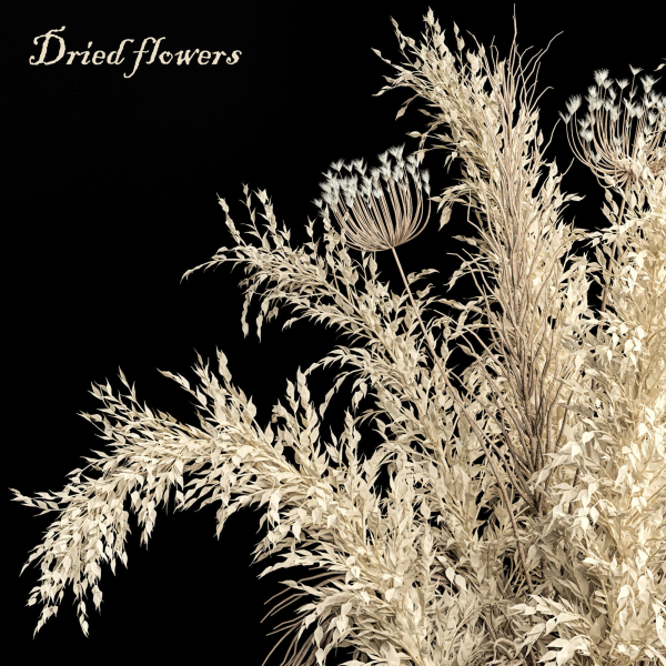 Dried flowers 01