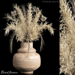 Dried flowers 01