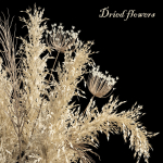 Dried flowers 01