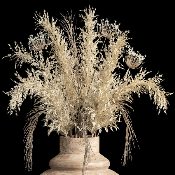 Dried flowers 01