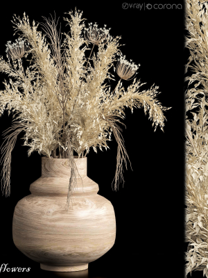 Dried flowers 01