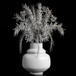 Dried flowers 01