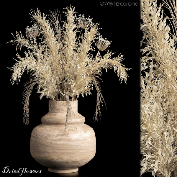 Dried flowers 01