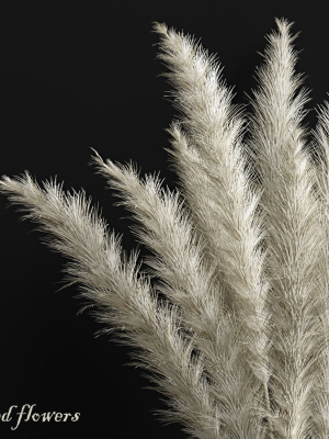 dried-flowers-02-3d-model-max-obj-3ds-fbx-mat