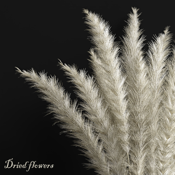 Dried flowers 02