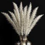 Dried flowers 02