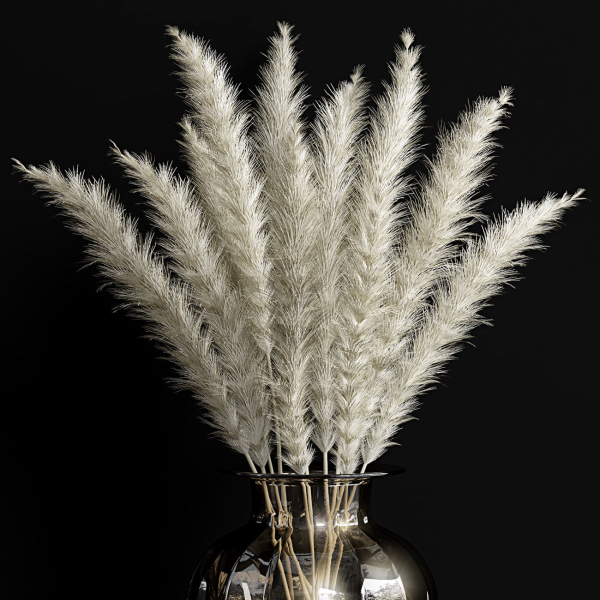 Dried flowers 02