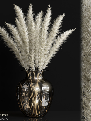 Dried flowers 02