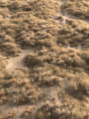 dried-grass-3d-model-max-obj-fbx
