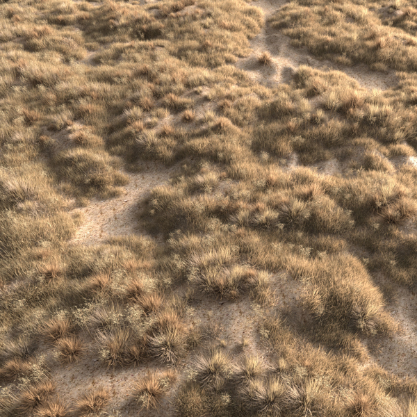 Dried grass