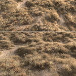 Dried grass