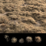 Dried grass