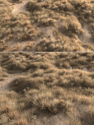 Dried grass