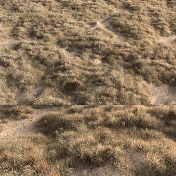 Dried grass