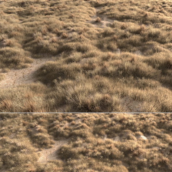 Dried grass