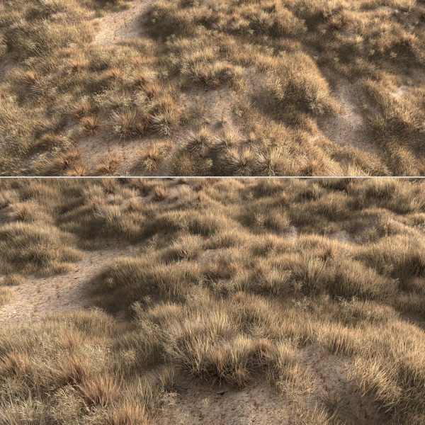Dried grass