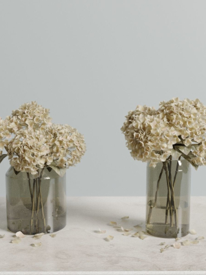 dried-hydrangeas-set-3d-model-max-obj-fbx
