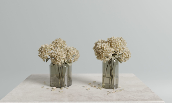 Dried hydrangeas set