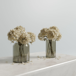 Dried hydrangeas set