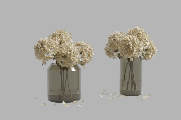 Dried hydrangeas set