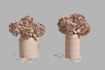 Dried hydrangeas set
