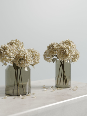 Dried hydrangeas set