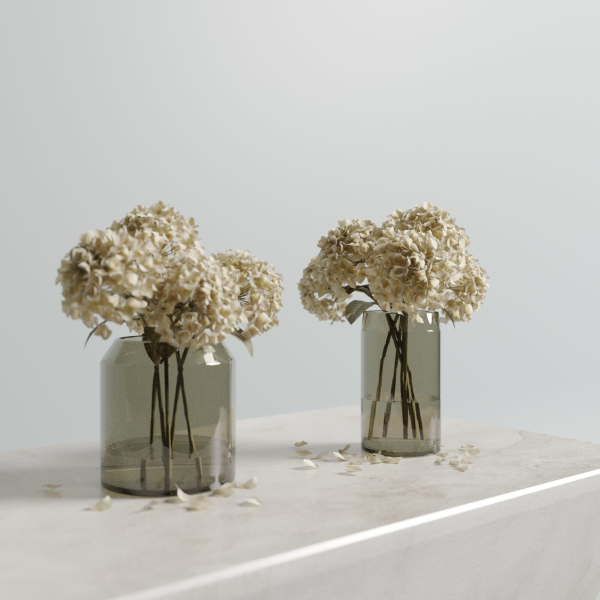 Dried hydrangeas set