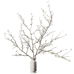 Dry Branches Bouquet18