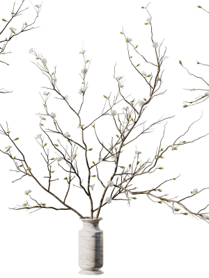 dry-branches-bouquet18-3d-model-cde0f84557