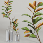 Dry Branches Bouquet20