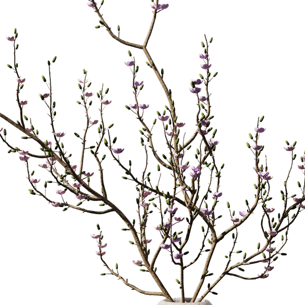 Dry Branches Bouquet29