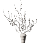 Dry Branches Bouquet29