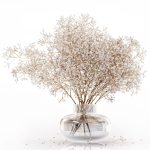 Dry flowers in modern vase