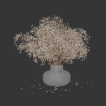 Dry flowers in modern vase