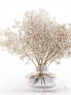 Dry flowers in modern vase