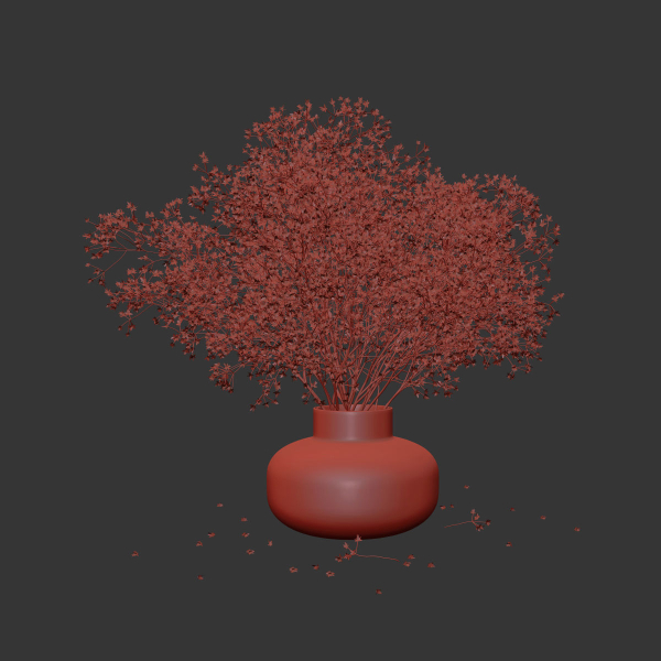 Dry flowers in modern vase