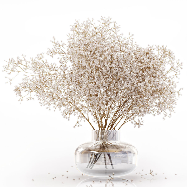 Dry flowers in modern vase