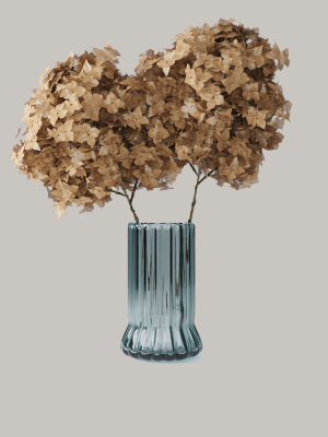 Dry Hydrangea Flowers 3D model Free