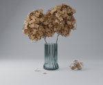 Dry Hydrangea Flowers 3D model Free