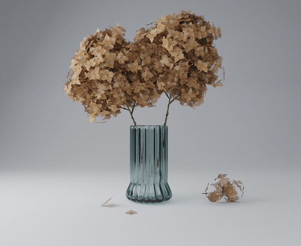 Dry Hydrangea Flowers 3D model Free