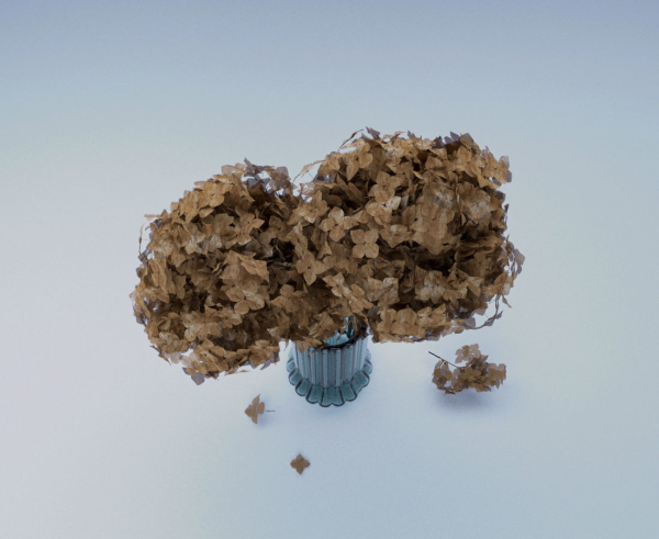 Dry Hydrangea Flowers 3D model Free
