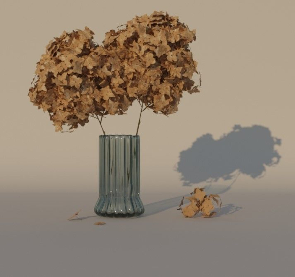 Dry Hydrangea Flowers 3D model Free