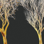 Dry Or Dead Tree 03