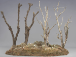 Dry trunk and branches