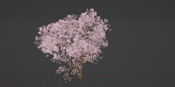East Asian Cherry vol 239-Blender