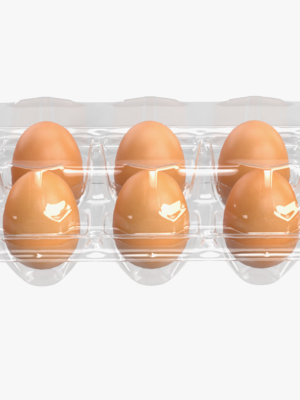 egg-plastic-package-10-eggs-v1-3d-model
