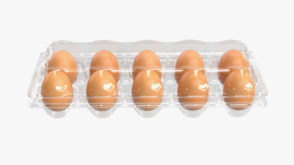 Egg food plastic package 10 eggs v1