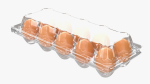 Egg food plastic package 10 eggs v1