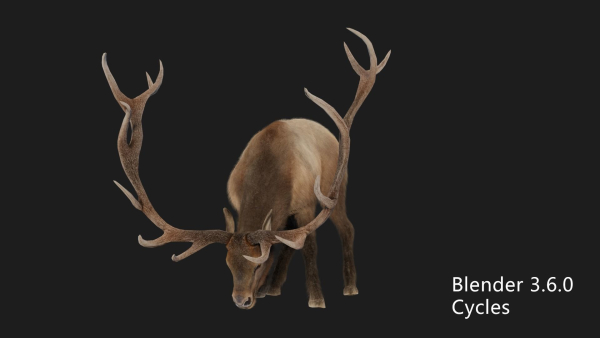elaphurus deer buck stag reindeer doe
